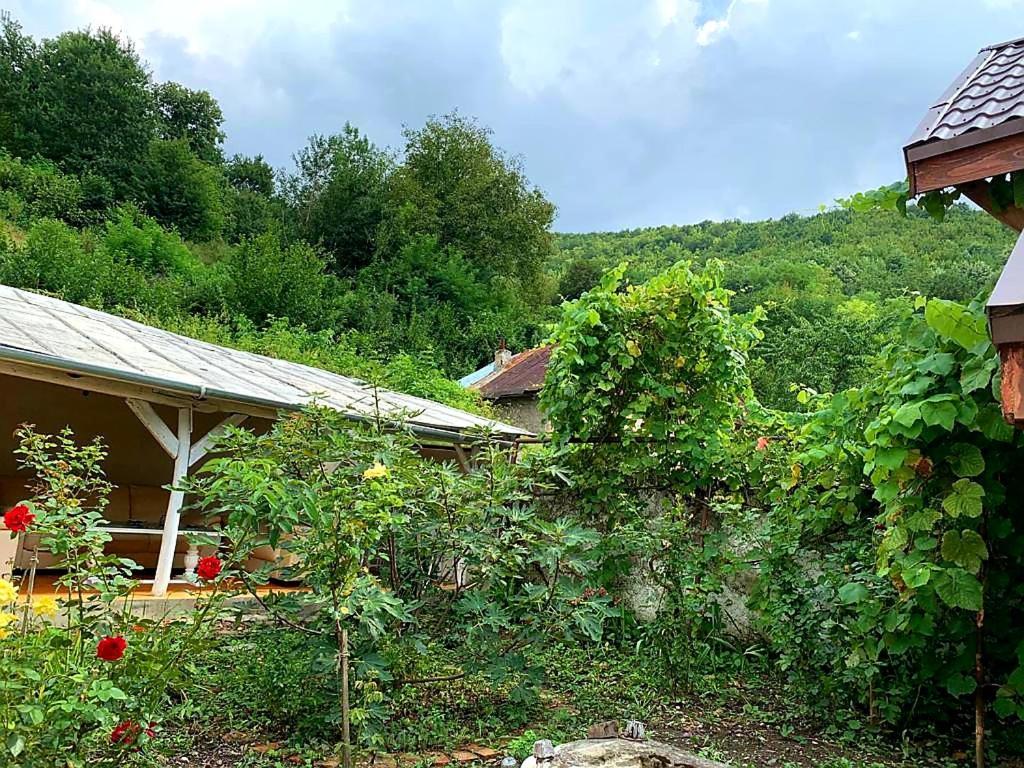 Casa Luna Betiluna Villa Oravita Ngoại thất bức ảnh