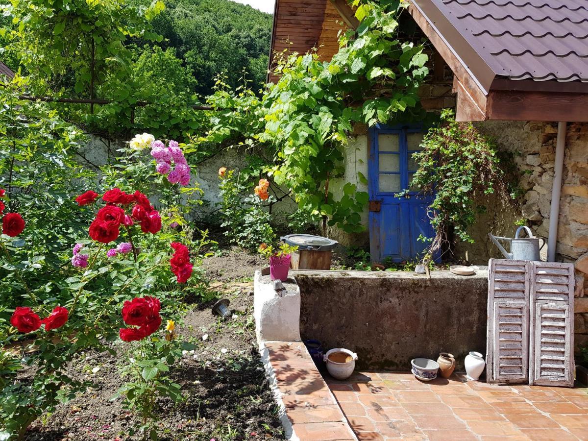 Casa Luna Betiluna Villa Oravita Ngoại thất bức ảnh