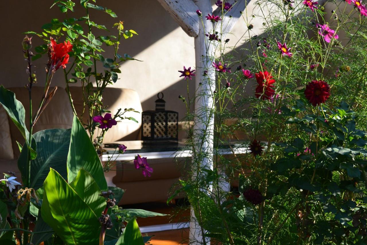 Casa Luna Betiluna Villa Oravita Ngoại thất bức ảnh