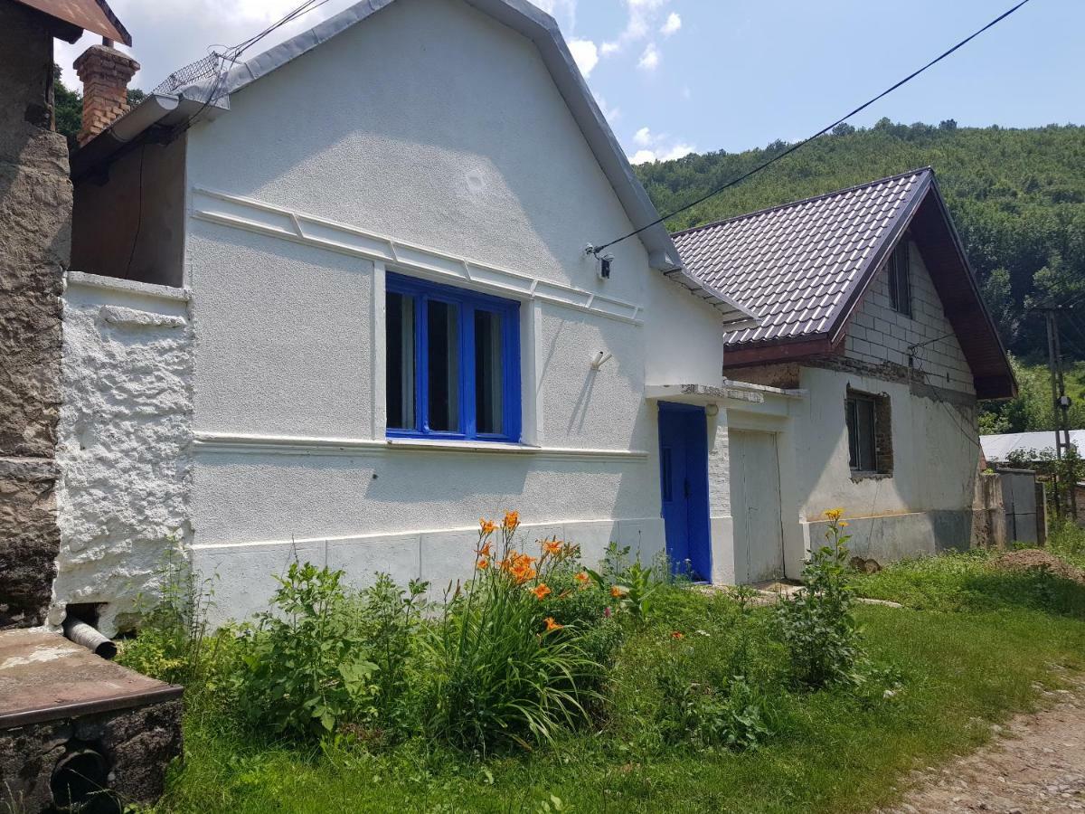 Casa Luna Betiluna Villa Oravita Ngoại thất bức ảnh